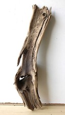 Treibholz schwemmholz driftwoo gebraucht kaufen  Halblech