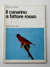 Canarino fattore rosso usato  Trivignano Udinese