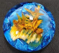 Caithness biosphere yellow for sale  Milton