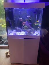 Meerwasser aquarium komplett gebraucht kaufen  Norderstedt