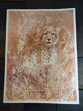Cheetah marliyn zapp d'occasion  Expédié en Belgium