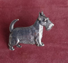 sealyham terrier for sale sealyham terrier for sale HIGHBRIDGE