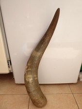 Raw unfinished cattle for sale  NORTHWICH