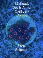 Devils armor zoas for sale  Highlands
