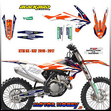Kit adesivi blackbird usato  Petriolo