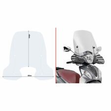 Givi d6116st parabrezza usato  Italia