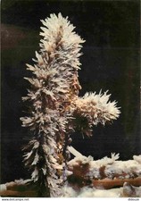 Hérault grotte clamouse d'occasion  Fruges