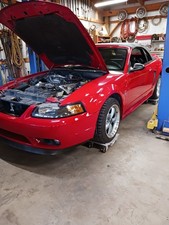 1999 ford mustang for sale  Olaton