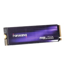 Fanxiang s880 int gebraucht kaufen  Eilenburg
