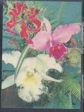 Postkarte blumen gebraucht kaufen  Deutschland