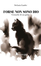 Forse non sono usato  Roma