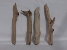 Legno mare bastoni usato  Orbetello
