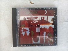 Runrig amazing things gebraucht kaufen  Köln