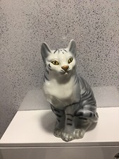 Large pot cat for sale  SKEGNESS