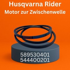 Keilriemen 589530401 544400201 gebraucht kaufen  Preetz
