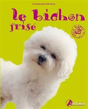 Bichon frisé secco d'occasion Bichon frisé secco d'occasion  France