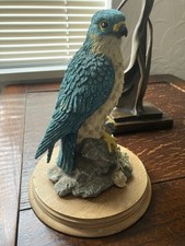 Leonardo peregrine falcon for sale  BIRMINGHAM