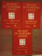 Tomi f.h.netter atlante usato  Senago