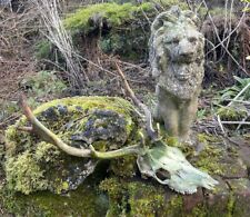 Real animal skull for sale  UK