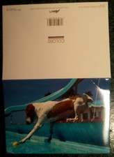 Dog pool ball d'occasion  Expédié en Belgium
