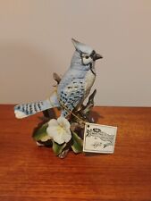 blue jay bird for sale  Hixson