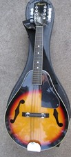 Vintage harmony mandolin for sale  Ashland