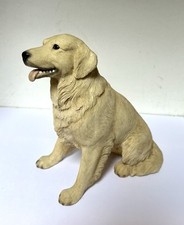 Leonardo golden retriever for sale  LLANGOLLEN