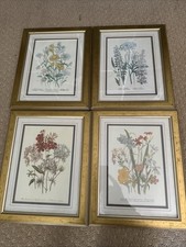 Set framed flower for sale  BRIDGWATER