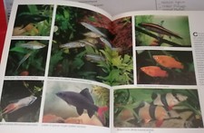 Aquariums savoir choisir d'occasion  Villers-lès-Nancy