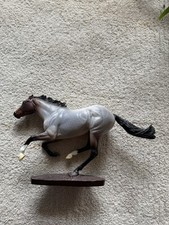 smarty for sale smarty for sale Pine Grove