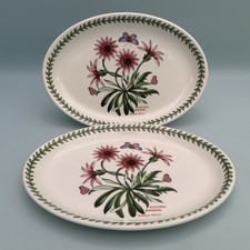 Portmeirion fire ice for sale  STOKE-ON-TRENT