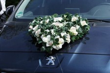 Autoschmuck brautautoschmuck b gebraucht kaufen  Dietzenbach