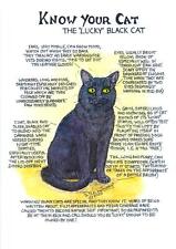 Black cat tea for sale  UK