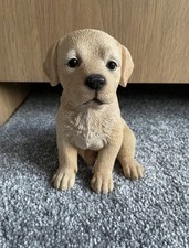 Plastic puppy dog for sale Plastic puppy dog for sale  GREAT YARMOUTH