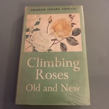 Climbing roses old for sale  CAMBRIDGE