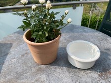 Blumentopf terracotta blumensc gebraucht kaufen  Kelsterbach