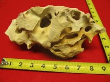 Prehistoric aquifer holey for sale  Comfort