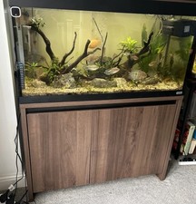 Fluval roma 200 for sale  NORTHWICH