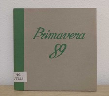 Primavera usato  Italia