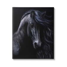Black stallion canvas for sale  San Francisco