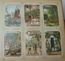 Liebigbilder serie 312 gebraucht kaufen  Borna