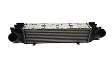 Intercooler per bmw usato  Italia