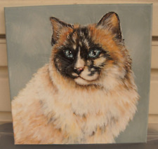 Ragdoll cat blue for sale  Nokomis