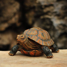 Tortoise statue outdoor d'occasion  Expédié en Belgium