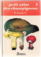Petit atlas champignons d'occasion  France
