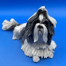 shih tzu femelle d'occasion  Expédié en Belgium