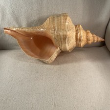Mid century large for sale  Houston