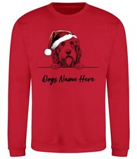 Bearded collie personalised for sale  PONTYPRIDD