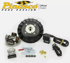 Accensione pinasco flytech usato  Massa di Somma