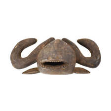 Hemba water buffalo for sale  Denver